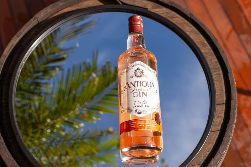 Dry Gin Antiqua Tropical 1000ml